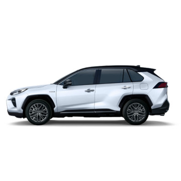 China Cheap Veranda Wildlander Long Endurance Vehicles for Sale