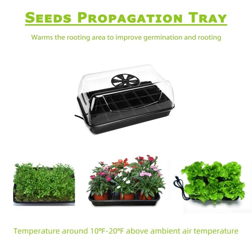 Strawberry Home Indoor Greenhouse Hydroponic Growing Systems