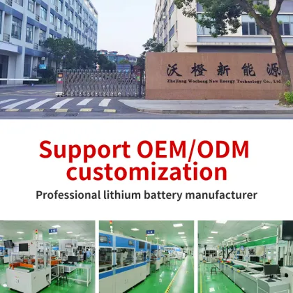 Customized 6S1P CATL Lithium Ion Battery Module with NMC Prismatic Cells for Electric Vehicles (EVs)