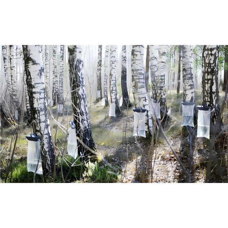 Birch Juice Collection Bag