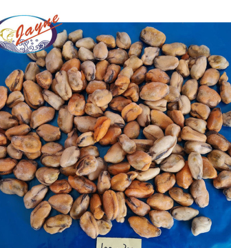 Top Quality Frozen Shellfish Mussels Frozen Mussel Meat With Shell For Sale At Best Price