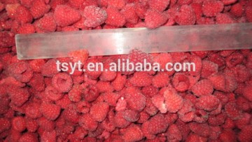 IQF raspberry whole Grade A