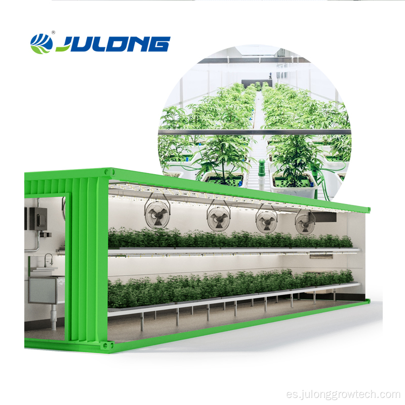 Granja de contenedores de agricultura vertical para plantas médicas
