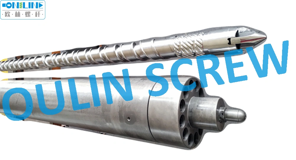 100mm Screw and Barrel