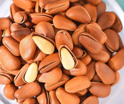 Delicious Physics Pine Nuts