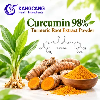Turmeric Extract Curcumin 95% Lmprove Immunity Natural