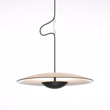 LEDER Contemporary Hanging Pendant Lights