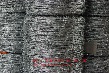 hot sales 14x14 hot dipped galvanized barbed wire