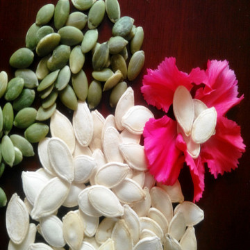 2015 Crop wholesale type chinese pumpkin seeds