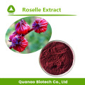 Roselle-extract / Hibiscus Sabdariffa-extractpoeder 10: 1