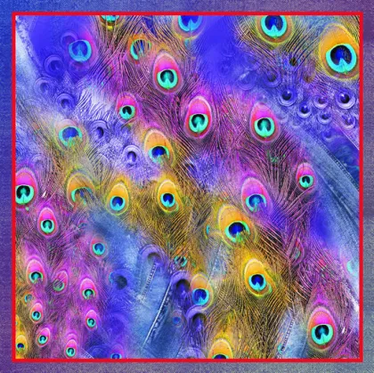 Digital printing silk----silk modle