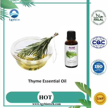 Jualan Panas Minyak Essential Thyme Berkualiti Tinggi