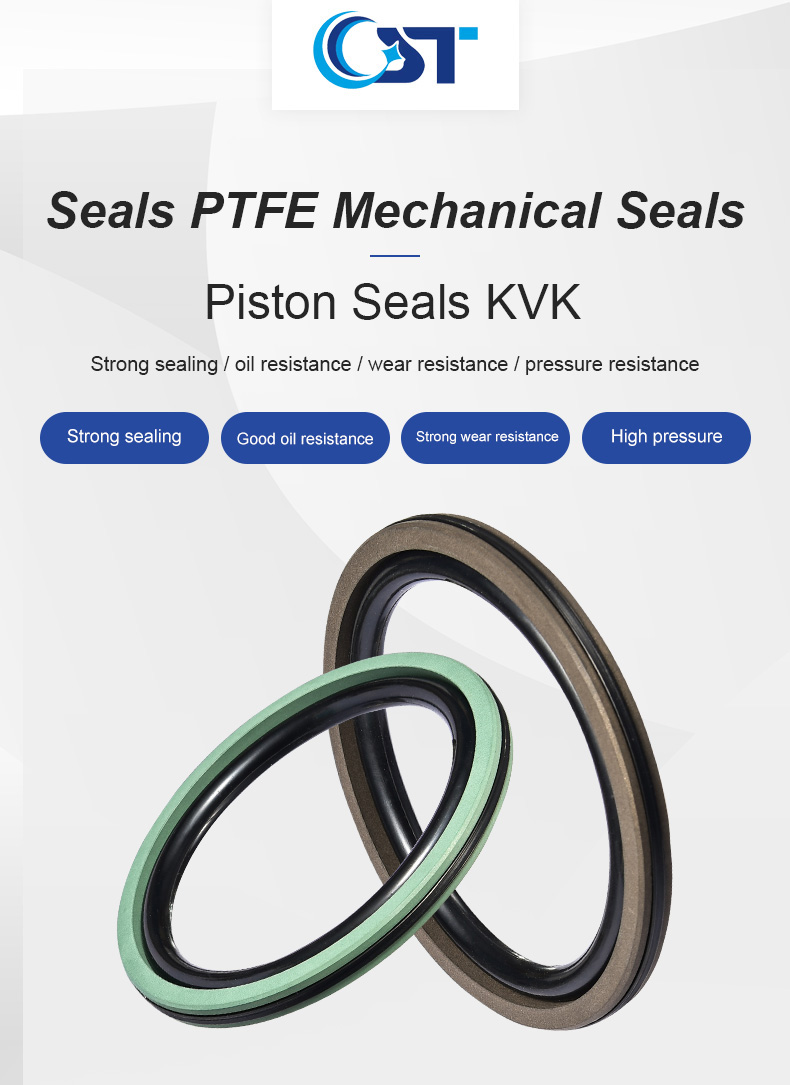 Cq Piston Seal Ptfe