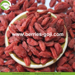 Factory Supply Comprar Healthy Nutrition Wolfberries