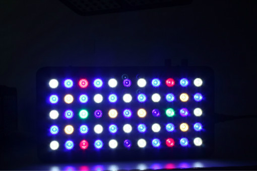 White&Blue LED Aquarium Light for Fish Reef Tank