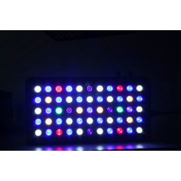 White &amp; Blue LED Aquarium Light pour Fish Reef Tank