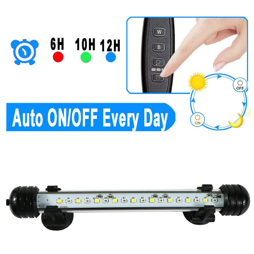 Đèn LED màu xanh trắng cho bể cá