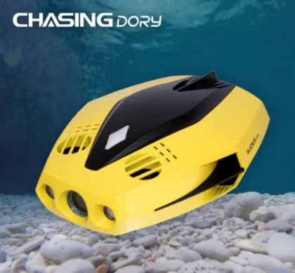 15m deep UNDERWATER Exploration DRONE CHASING DORY