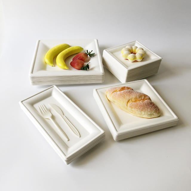 แผ่นสี่เหลี่ยมจัตุรัส Square plates