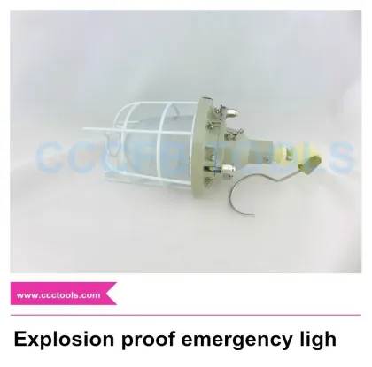 BAD52 Series Explosion proof emergency light,Non-sparking lamp, explosion-proof bulb,explosion-proof electrical equipment