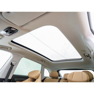 Leapmotor C11 Executive Version Luxurious Electric SUV