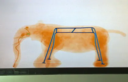 38mm X-ray Inspection Scanner , Security Screening Equipment