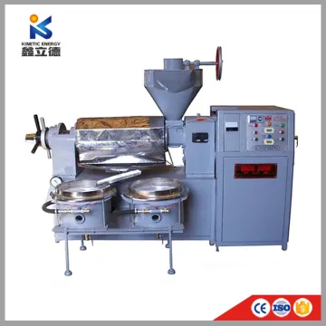 Commercial Oil Press Machine Screw Peanut Walnut Oil Presser High Yield Oil Extractor