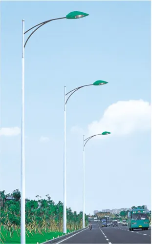 Hot Dip Galvanized Spraying Road Lighting