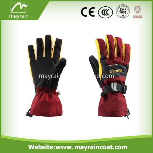 Ski Gloves Ski Gloves