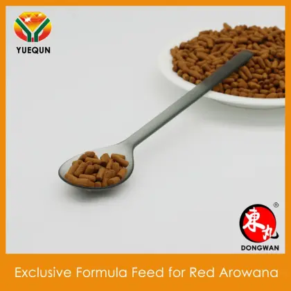 Compound feed for Red Arowana