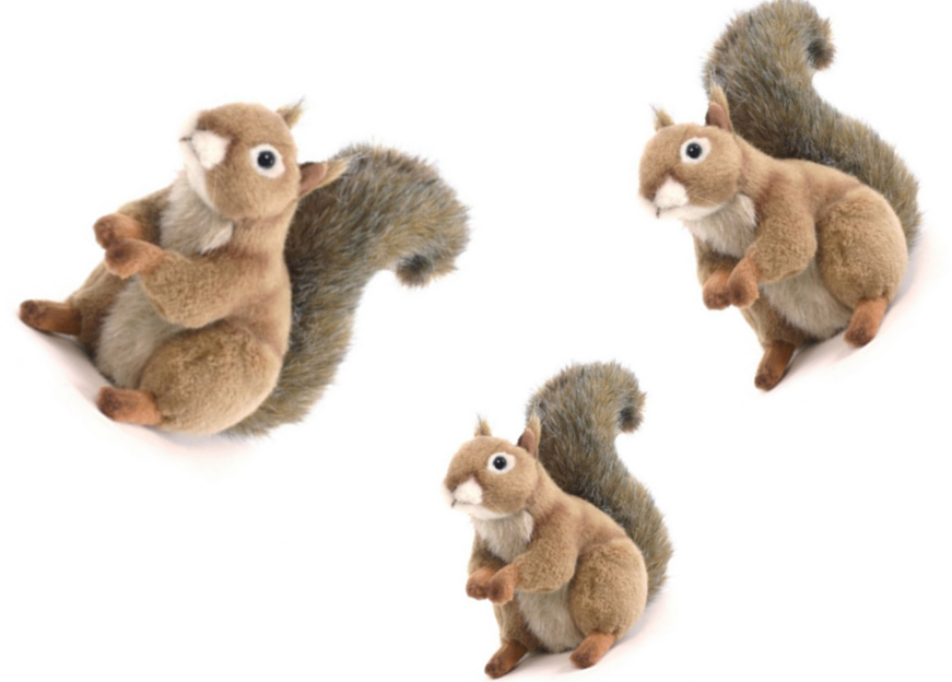 Cute Squirrel Plush Toys