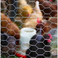 chicken wire mesh chicken wire netting