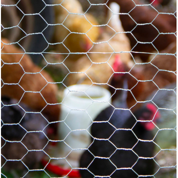 chicken wire mesh chicken wire netting