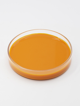 Pure Sea Buckthorn Berry Juice