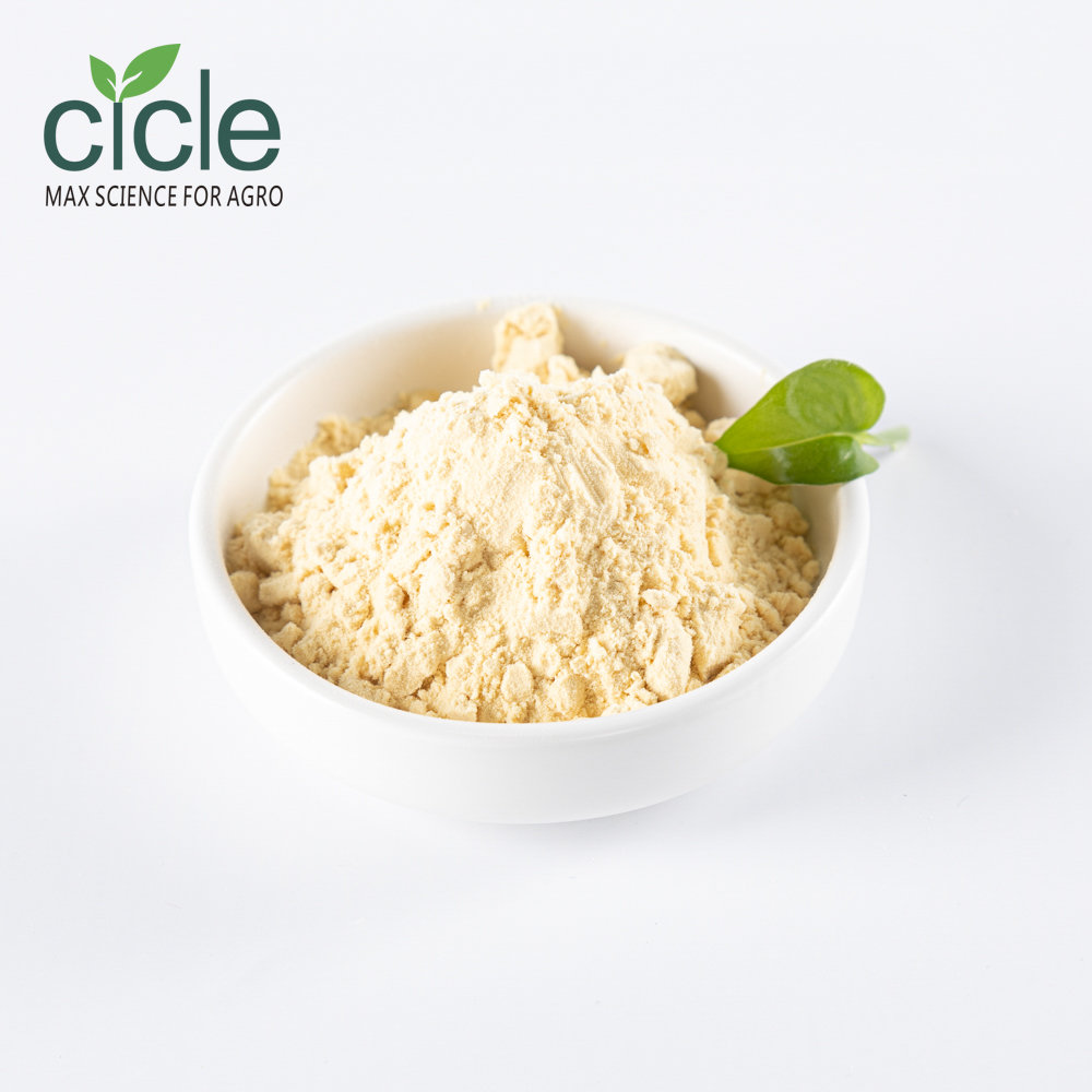Chitosan oligosaccharide