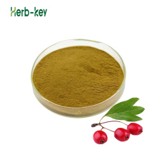 Hawthorn extract powder Hawthorn leaf extract powder