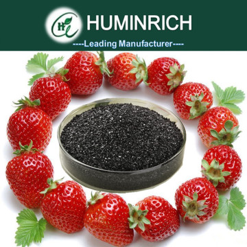 Huminrich Planting Base Best Fertilizer For Tomatoes Potassim Humic Acid