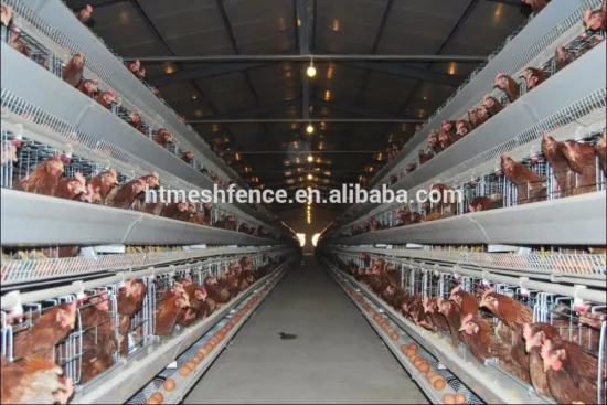 4tier 160 bird 40 nests Battery Cages for hens/96, 120,128,160,200birds/set cage 128bird chicken layer coop