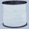 Striscia luminosa collegabile 100FT IP67