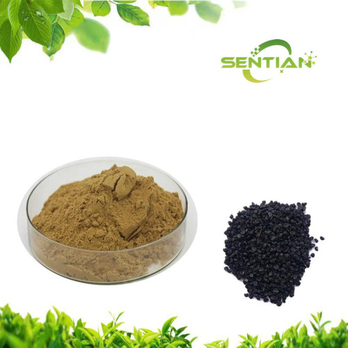 Healthy Leek Seed Extract Powder