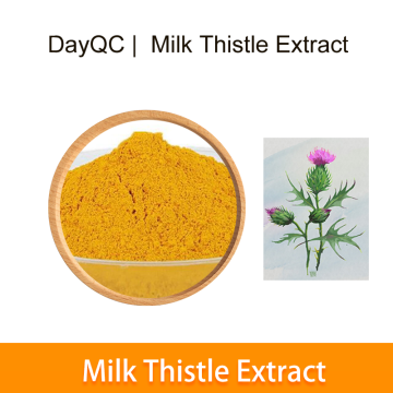 Milk Thistle Extract Silymarin