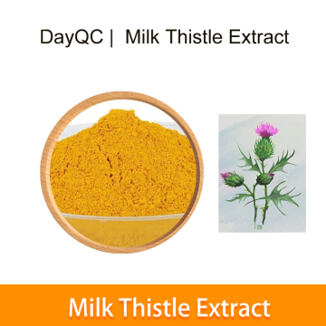 Milk Thistle Estratto Silymarin