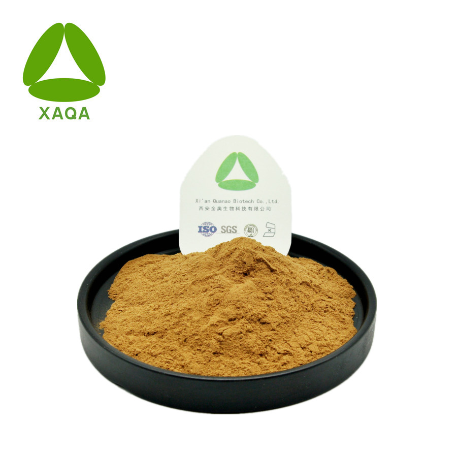 Sakae Naa Combretum quadrangular Extract Powder 10: 1