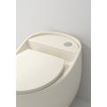 Bathroom Sanitary Ware Ivory One Piece Chinese Closet