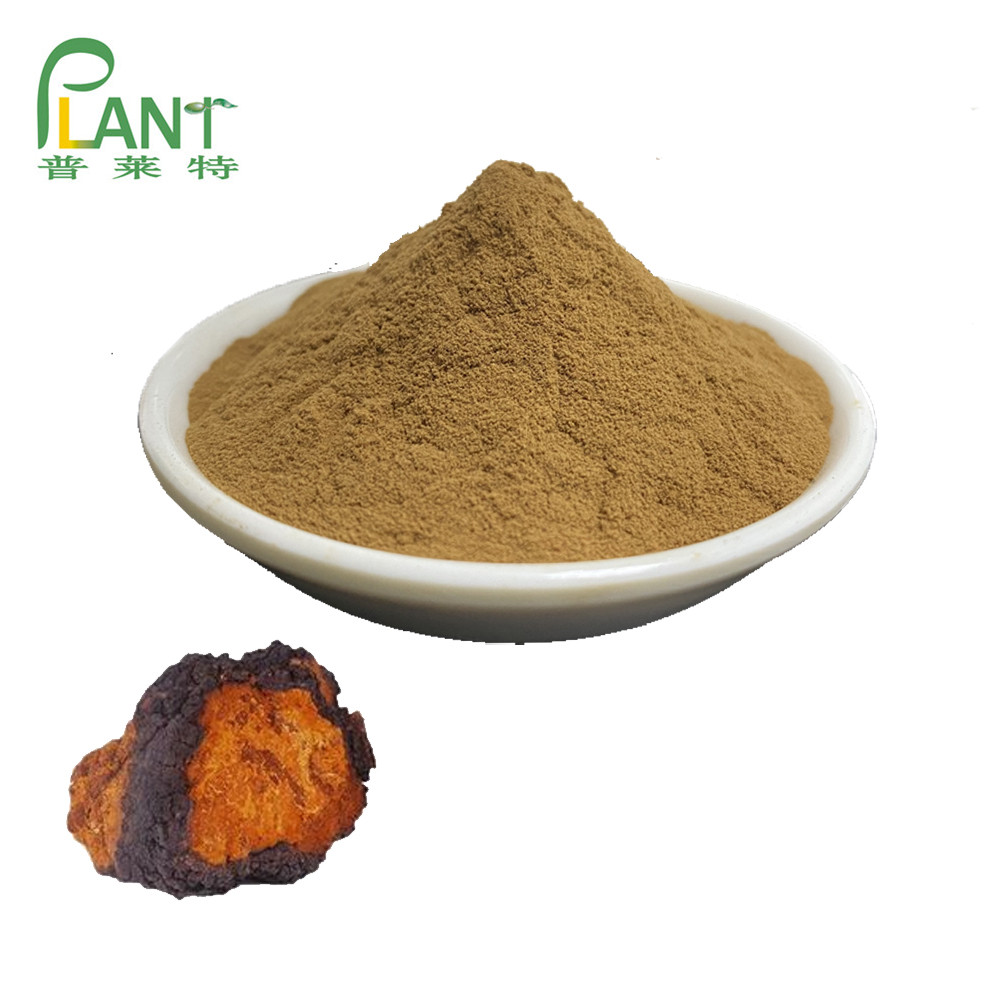 Chaga Extract