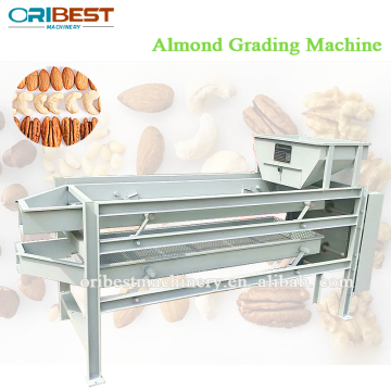 Efficient Peanut and Cashew Sorting Machines: Screening and Grading Solutions