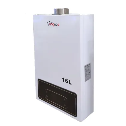 Intelligent Constant Temperature Central Gas Water Heater with Delicate Appearance