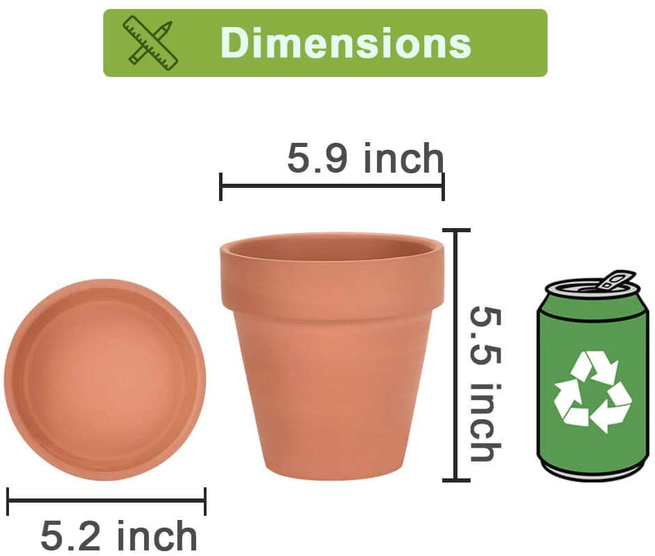 Pot de arcilla de 6 pulgadas para planta con platillo