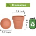 6 Inch Clay Pot for Plant with Saucer