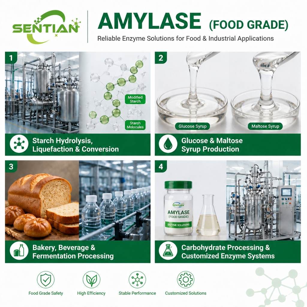 Amylase (Food Grade)2